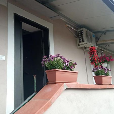 הוילה ארקולאנו A Casa Di Nonna Anna מראה חיצוני תמונה