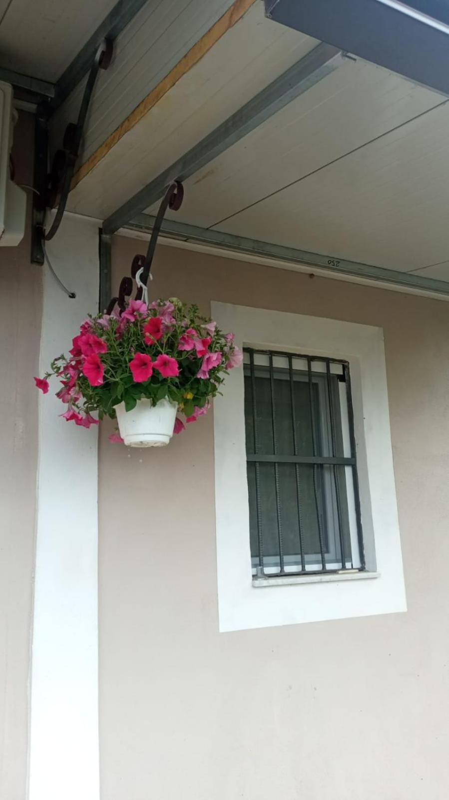 הוילה ארקולאנו A Casa Di Nonna Anna מראה חיצוני תמונה